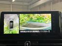 サムネイル画像12