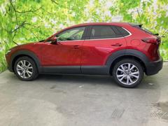 �ףţã��ңӤκ߸˥ڡ������������������ˤ��꤬�Ȥ��������ޤ����ףţã��ңӤϡ֤��������פ��åȡ��ˤ����ͤΥ����饤�դ����Ϥǥ��ݡ��Ȥ������ޤ��� 2