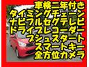 デイズ Ｘ　全方位カメラ　プシュスタート　スマートキー　フルセグＴＶナビ　タイミングチェーン（2枚目）