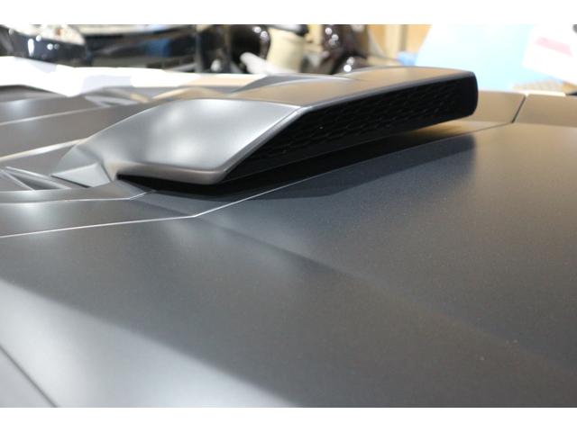 ウラカン ステラートオールテレイン アド・ペルソナム(39枚目)