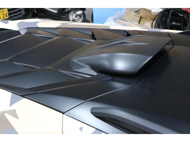 ウラカン ステラートオールテレイン アド・ペルソナム(40枚目)