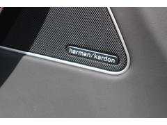 �������� �١������졼�ɡ��꡼�ץǥ�����磻�ɥܥǥ������åȡ������ܥ󥨥������ϥ����ѡ��ե��������ɡ������ܥ󥤥�ƥꥢ 0802904A30251227W001 3