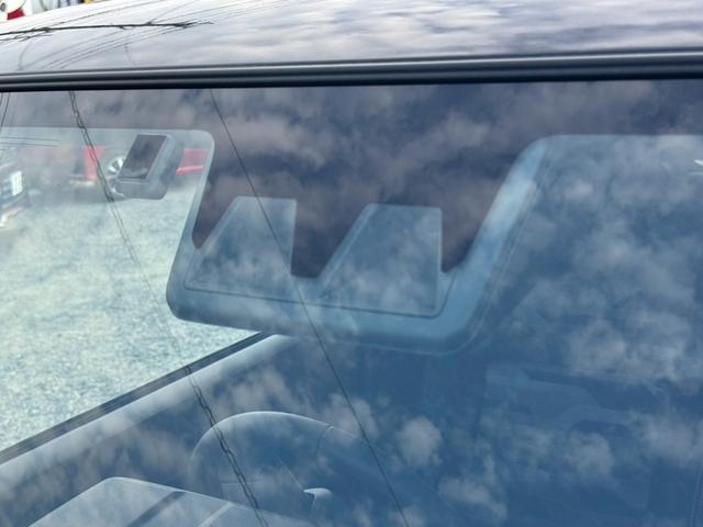 タフト G(18枚目)