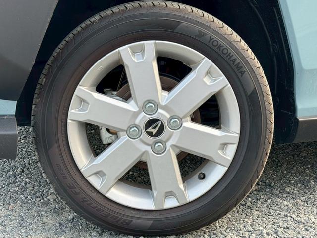 タフト G(19枚目)