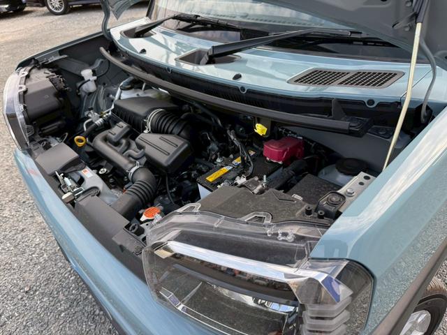 タフト G(23枚目)