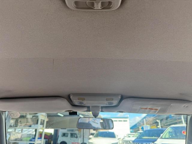 グロリア （48枚目）