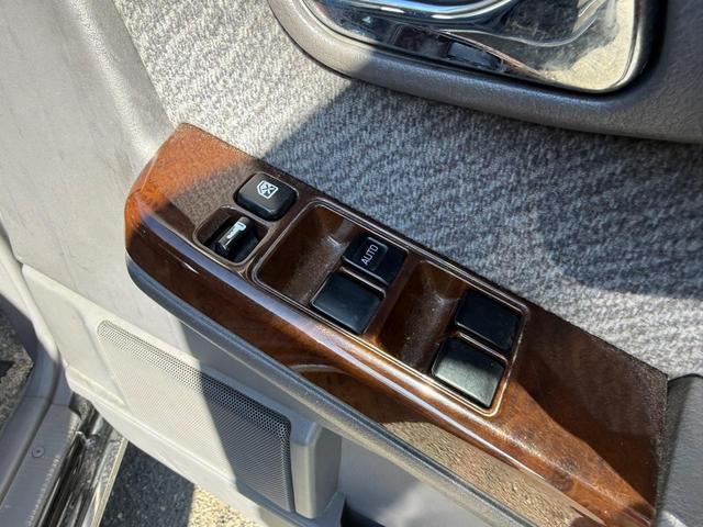 グロリア （49枚目）