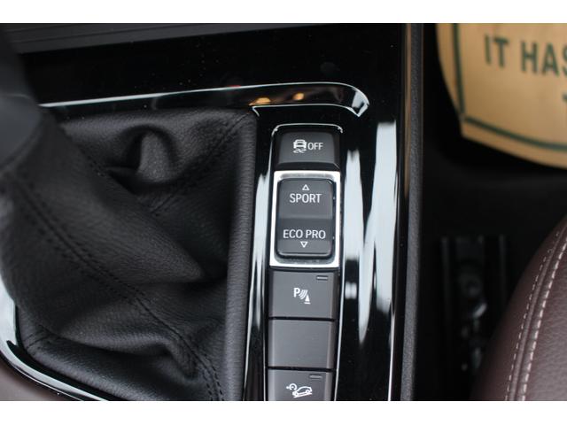 xDrive 20i xライン ハイラインパッケージ(19枚目)
