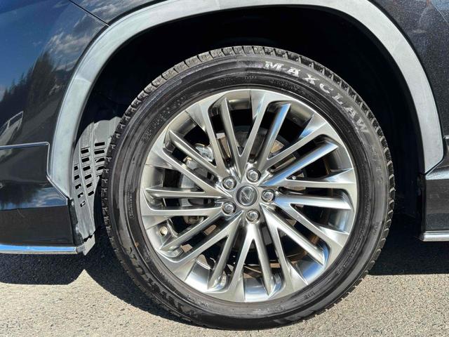 �[�Ԍ���C�����悭����蒸���܂��I�I