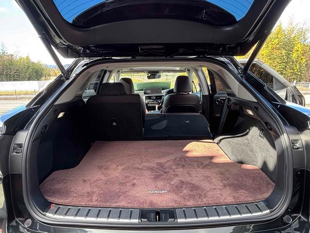 �[�Ԍ���C�����悭����蒸���܂��I�I