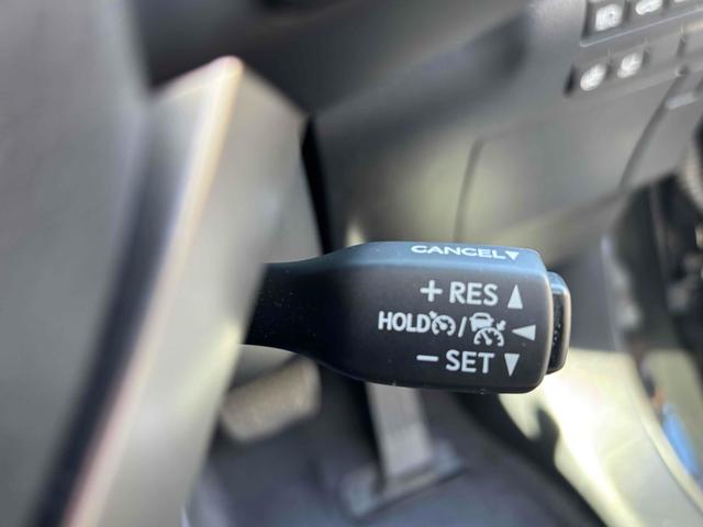 �����x�A���Ԃ��䗗���������B