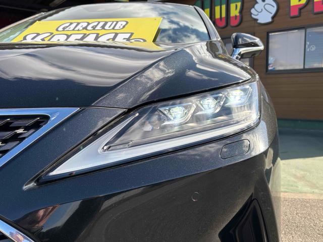 �����x�A���Ԃ��䗗���������B