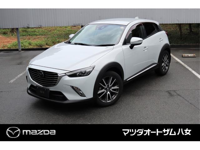ＣＸ－３ ＸＤ　ツーリング　Ｌパッケージ　コーティング施工済み　ＥＴＣ　バックカメラ（10枚目）