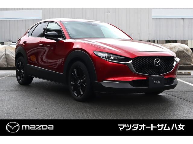ＣＸ－３０ ＸＤ　ブラックトーンエディション　ワンオーナー　禁煙車　ドライブレコーダー前後　コーティング済　ＣＤ／ＤＶＤプレーヤー（3枚目）