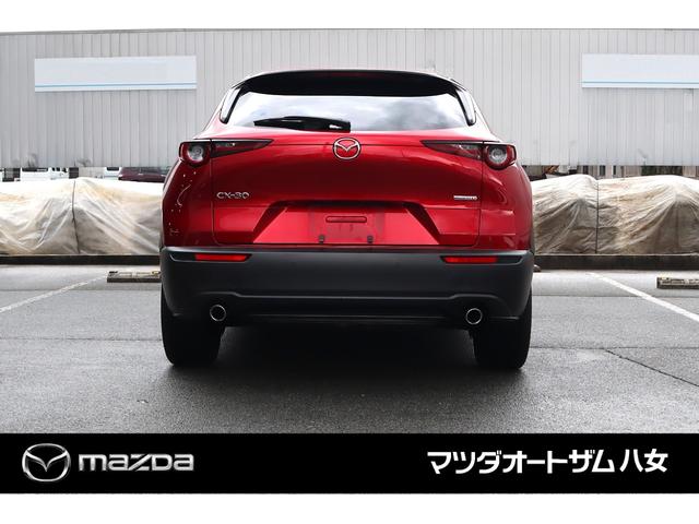 ＣＸ－３０ ＸＤ　ブラックトーンエディション　ワンオーナー　禁煙車　ドライブレコーダー前後　コーティング済　ＣＤ／ＤＶＤプレーヤー（6枚目）