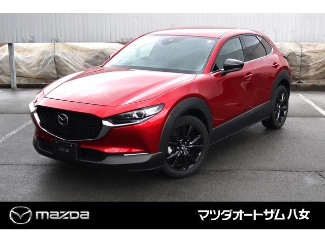 ＣＸ－３０ ＸＤ　ブラックトーンエディション　ワンオーナー　禁煙車　ドライブレコーダー前後　コーティング済　ＣＤ／ＤＶＤプレーヤー（9枚目）