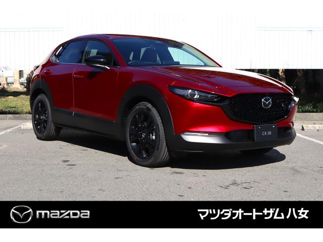 �{�ԗ��́A���ݓW������ԂƂ��Ďg�p���Ă�����̂ł��B���X�̓W���Ԃ͂��ׂē����シ���Ƀ}�c�_�{�f�B�R�[�e�B���O�v���~�A�����{�H���܂��̂ŊO���̏�Ԃ͗ǍD�ł��B�{�H�������̂Ƃ����łȂ����̂̍��͗�R�ł��B