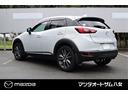 ＣＸ－３ ＸＤ　ツーリング　Ｌパッケージ　コーティング施工済み　ＥＴＣ　バックカメラ（8枚目）