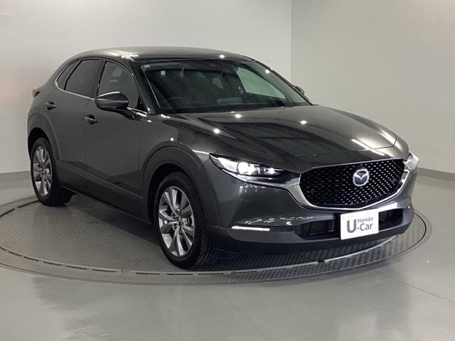 CX-30 20SLパッケージ 純正メモリーナビ 全周囲カメラ ETC スマートブレーキ 本革シート 地デジ クリソナ クルーズコントロール 点検記録簿 アドバンストキー DVD ナビTV 横滑り防止装置 LEDヘッドライト USB(7枚目)