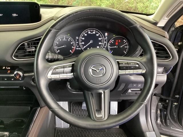 CX-30 20SLパッケージ 純正メモリーナビ 全周囲カメラ ETC スマートブレーキ 本革シート 地デジ クリソナ クルーズコントロール 点検記録簿 アドバンストキー DVD ナビTV 横滑り防止装置 LEDヘッドライト USB(14枚目)