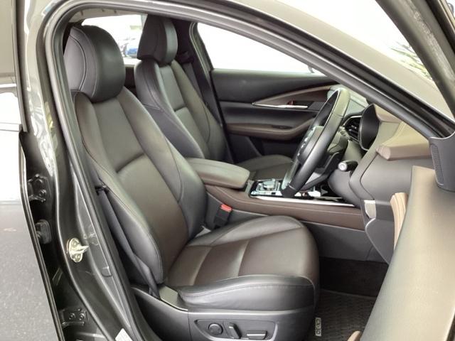 CX-30 20SLパッケージ 純正メモリーナビ 全周囲カメラ ETC スマートブレーキ 本革シート 地デジ クリソナ クルーズコントロール 点検記録簿 アドバンストキー DVD ナビTV 横滑り防止装置 LEDヘッドライト USB(16枚目)