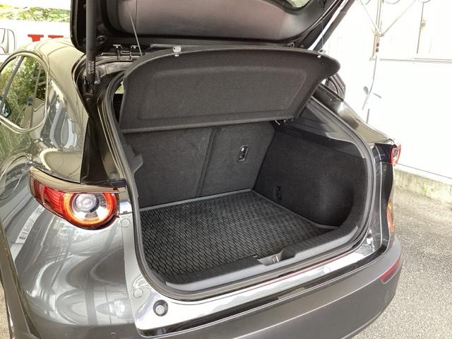 CX-30 20SLパッケージ 純正メモリーナビ 全周囲カメラ ETC スマートブレーキ 本革シート 地デジ クリソナ クルーズコントロール 点検記録簿 アドバンストキー DVD ナビTV 横滑り防止装置 LEDヘッドライト USB(18枚目)