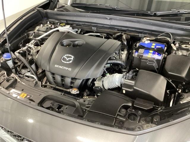 CX-30 20SLパッケージ 純正メモリーナビ 全周囲カメラ ETC スマートブレーキ 本革シート 地デジ クリソナ クルーズコントロール 点検記録簿 アドバンストキー DVD ナビTV 横滑り防止装置 LEDヘッドライト USB(20枚目)