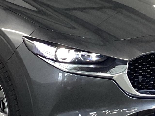 CX-30 20SLパッケージ 純正メモリーナビ 全周囲カメラ ETC スマートブレーキ 本革シート 地デジ クリソナ クルーズコントロール 点検記録簿 アドバンストキー DVD ナビTV 横滑り防止装置 LEDヘッドライト USB(22枚目)