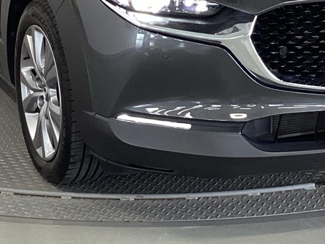 CX-30 20SLパッケージ 純正メモリーナビ 全周囲カメラ ETC スマートブレーキ 本革シート 地デジ クリソナ クルーズコントロール 点検記録簿 アドバンストキー DVD ナビTV 横滑り防止装置 LEDヘッドライト USB(24枚目)