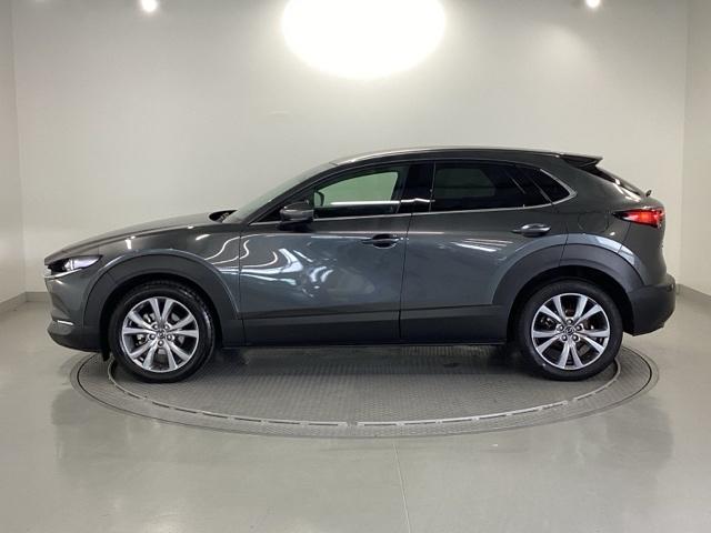 CX-30 20SLパッケージ 純正メモリーナビ 全周囲カメラ ETC スマートブレーキ 本革シート 地デジ クリソナ クルーズコントロール 点検記録簿 アドバンストキー DVD ナビTV 横滑り防止装置 LEDヘッドライト USB(26枚目)