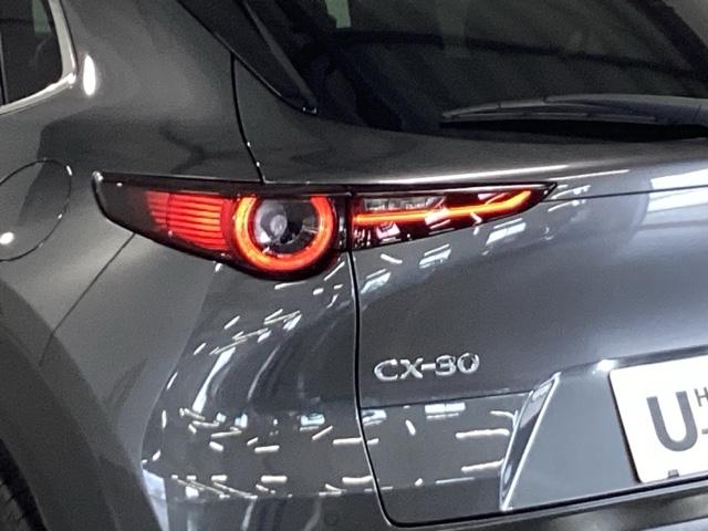 CX-30 20SLパッケージ 純正メモリーナビ 全周囲カメラ ETC スマートブレーキ 本革シート 地デジ クリソナ クルーズコントロール 点検記録簿 アドバンストキー DVD ナビTV 横滑り防止装置 LEDヘッドライト USB(28枚目)