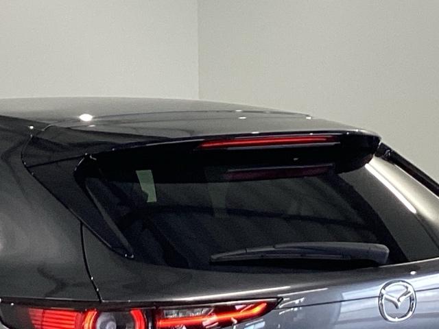 CX-30 20SLパッケージ 純正メモリーナビ 全周囲カメラ ETC スマートブレーキ 本革シート 地デジ クリソナ クルーズコントロール 点検記録簿 アドバンストキー DVD ナビTV 横滑り防止装置 LEDヘッドライト USB(29枚目)