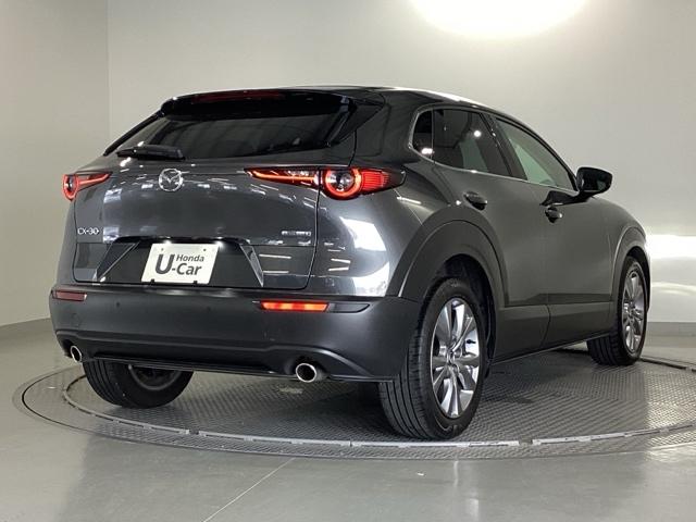 CX-30 20SLパッケージ 純正メモリーナビ 全周囲カメラ ETC スマートブレーキ 本革シート 地デジ クリソナ クルーズコントロール 点検記録簿 アドバンストキー DVD ナビTV 横滑り防止装置 LEDヘッドライト USB(31枚目)