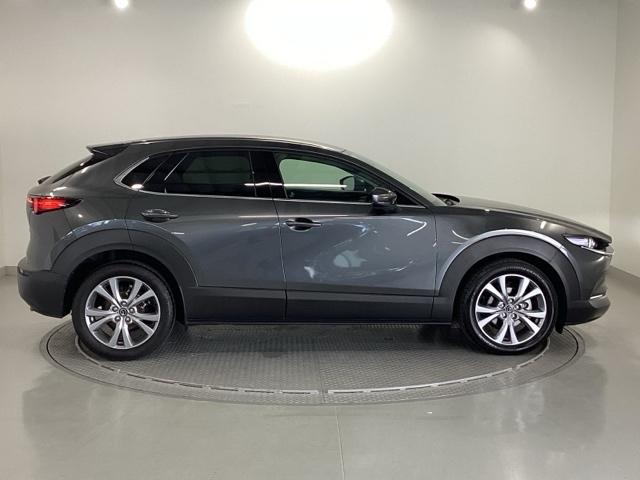 CX-30 20SLパッケージ 純正メモリーナビ 全周囲カメラ ETC スマートブレーキ 本革シート 地デジ クリソナ クルーズコントロール 点検記録簿 アドバンストキー DVD ナビTV 横滑り防止装置 LEDヘッドライト USB(32枚目)