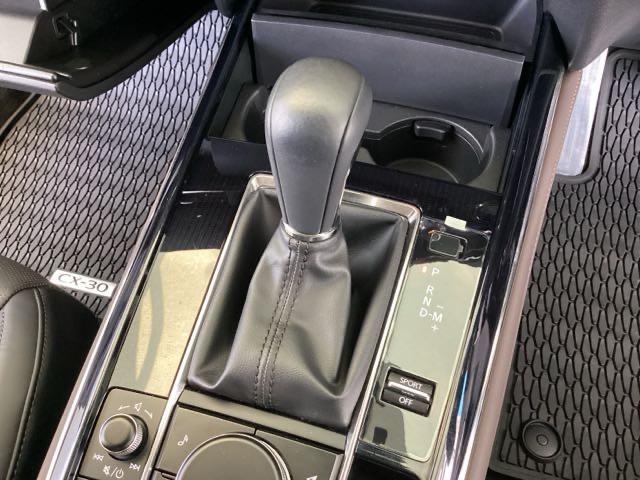 CX-30 20SLパッケージ 純正メモリーナビ 全周囲カメラ ETC スマートブレーキ 本革シート 地デジ クリソナ クルーズコントロール 点検記録簿 アドバンストキー DVD ナビTV 横滑り防止装置 LEDヘッドライト USB(38枚目)