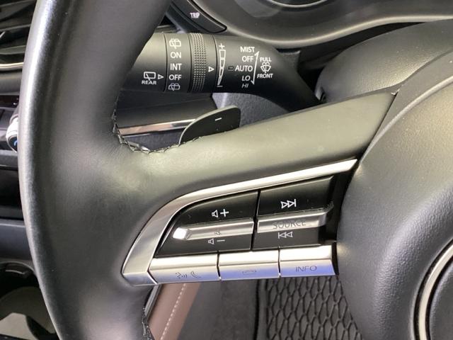 CX-30 20SLパッケージ 純正メモリーナビ 全周囲カメラ ETC スマートブレーキ 本革シート 地デジ クリソナ クルーズコントロール 点検記録簿 アドバンストキー DVD ナビTV 横滑り防止装置 LEDヘッドライト USB(41枚目)