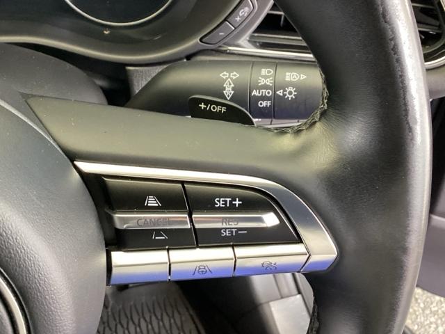 CX-30 20SLパッケージ 純正メモリーナビ 全周囲カメラ ETC スマートブレーキ 本革シート 地デジ クリソナ クルーズコントロール 点検記録簿 アドバンストキー DVD ナビTV 横滑り防止装置 LEDヘッドライト USB(42枚目)