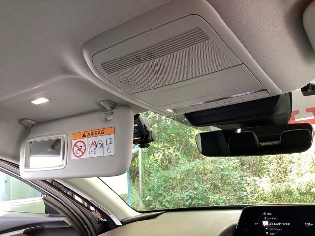 CX-30 20SLパッケージ 純正メモリーナビ 全周囲カメラ ETC スマートブレーキ 本革シート 地デジ クリソナ クルーズコントロール 点検記録簿 アドバンストキー DVD ナビTV 横滑り防止装置 LEDヘッドライト USB(46枚目)