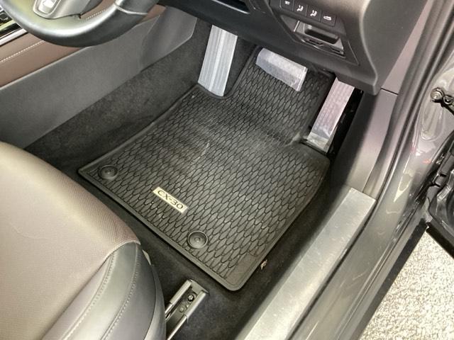 CX-30 20SLパッケージ 純正メモリーナビ 全周囲カメラ ETC スマートブレーキ 本革シート 地デジ クリソナ クルーズコントロール 点検記録簿 アドバンストキー DVD ナビTV 横滑り防止装置 LEDヘッドライト USB(52枚目)
