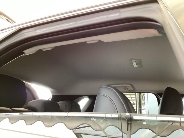 CX-30 20SLパッケージ 純正メモリーナビ 全周囲カメラ ETC スマートブレーキ 本革シート 地デジ クリソナ クルーズコントロール 点検記録簿 アドバンストキー DVD ナビTV 横滑り防止装置 LEDヘッドライト USB(54枚目)