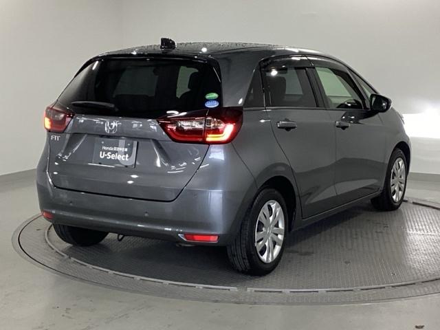 �{�f�B�J���[�́A�V���C�j���O�O���[���^���b�N�ŁA�s��̐������ꂽ�A�P�������O���[�ł��I