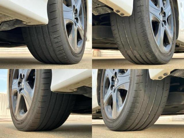 �u���̎Ԃ̎ʐ^�������ƌ������v�u��Ԃ��C�ɂȂ�v�u���̑����͂��Ă���H�v�ǂ�ȏ����ȋ^��ł����C�y�ɂ��₢���킹���������I