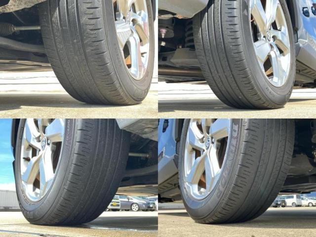 �u���̎Ԃ̎ʐ^�������ƌ������v�u��Ԃ��C�ɂȂ�v�u���̑����͂��Ă���H�v�ǂ�ȏ����ȋ^��ł����C�y�ɂ��₢���킹���������I