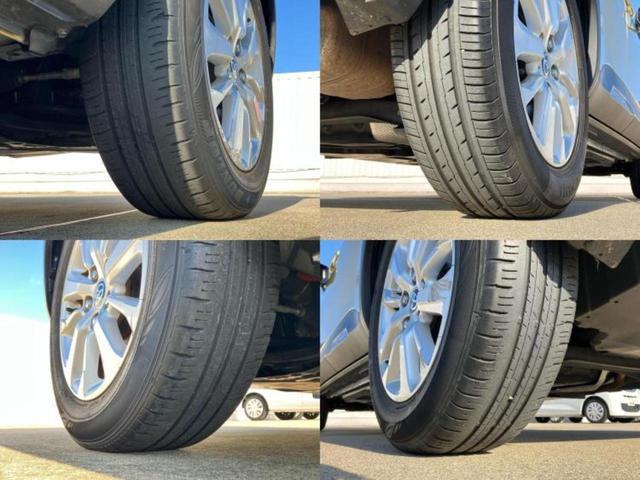 �u���̎Ԃ̎ʐ^�������ƌ������v�u��Ԃ��C�ɂȂ�v�u���̑����͂��Ă���H�v�ǂ�ȏ����ȋ^��ł����C�y�ɂ��₢���킹���������I