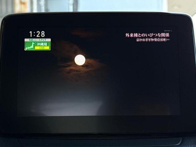 ＣＸ－３ ２０Ｓ　純正　ＳＤナビ／衝突安全装置／車線逸脱防止支援システム／ヘッドランプ　ＬＥＤ／ＵＳＢジャック／Ｂｌｕｅｔｏｏｔｈ接続／ＥＴＣ／ＥＢＤ付ＡＢＳ／横滑り防止装置／アイドリングストップ／バックモニター（13枚目）