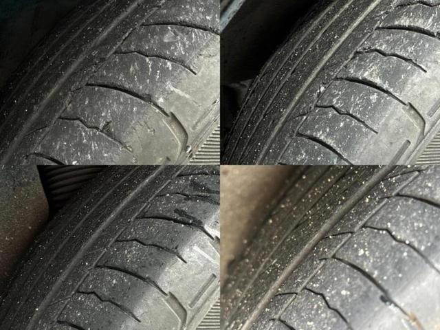 �u���̎Ԃ̎ʐ^�������ƌ������v�u��Ԃ��C�ɂȂ�v�u���̑����͂��Ă���H�v�ǂ�ȏ����ȋ^��ł����C�y�ɂ��₢���킹���������I