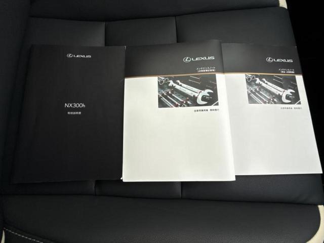 ＮＸ ＮＸ３００ｈブラックシークエンス　保証書／純正　１０インチ　ＳＤナビ／プリクラッシュセーフティ／シートヒーター　前席／車線逸脱防止支援システム／シート　合皮／電動バックドア／ドライブレコーダー　社外／ヘッドランプ　ＬＥＤ　バックカメラ（32枚目）