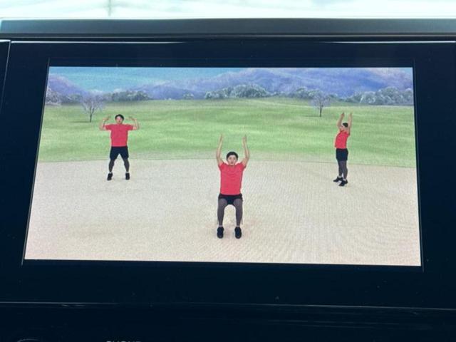 アルファード Ｓタイプゴールド２　新品タイヤ／ディスプレイオーディオ＋ナビ９インチ／フリップダウンモニター／トヨタセーフティセンス／両側電動スライドドア／車線逸脱防止支援システム／シート　ハーフレザー／電動バックドア　バックカメラ（11枚目）