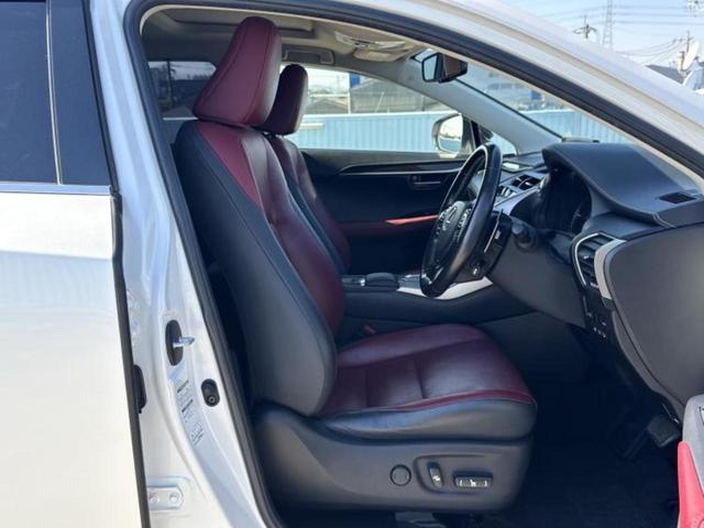 �u���̎Ԃ̎ʐ^�������ƌ������v�u��Ԃ��C�ɂȂ�v�u���̑����͂��Ă���H�v�ǂ�ȏ����ȋ^��ł����C�y�ɂ��₢���킹���������I