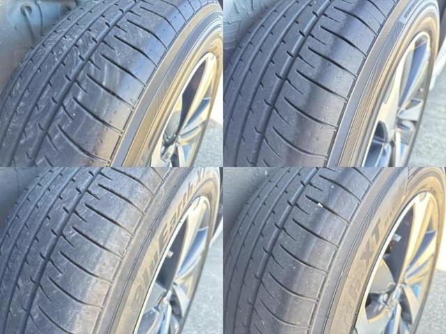 �u���̎Ԃ̎ʐ^�������ƌ������v�u��Ԃ��C�ɂȂ�v�u���̑����͂��Ă���H�v�ǂ�ȏ����ȋ^��ł����C�y�ɂ��₢���킹���������I